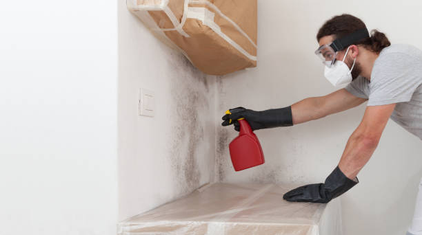 Professional Crawl Space Mold Remediation technician working in Middle River, MD